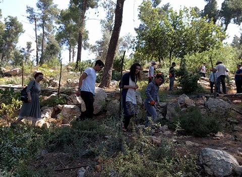 יום פעילות ביער ירושלים | מרכז ציפורי